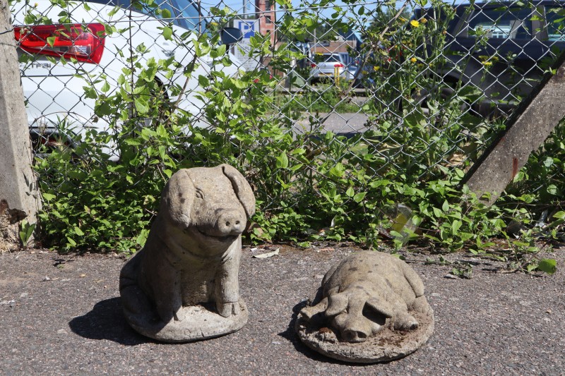 Two reconstituted stone garden pig ornaments, larger 35cm high